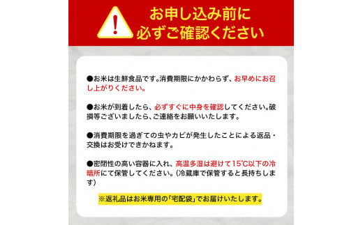 【定期便 6ヶ月】 米 10㎏ まっしぐら 青森県産（精米・5kg×2）