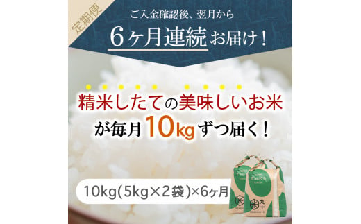 【定期便 6ヶ月】 米 10㎏ まっしぐら 青森県産（精米・5kg×2）