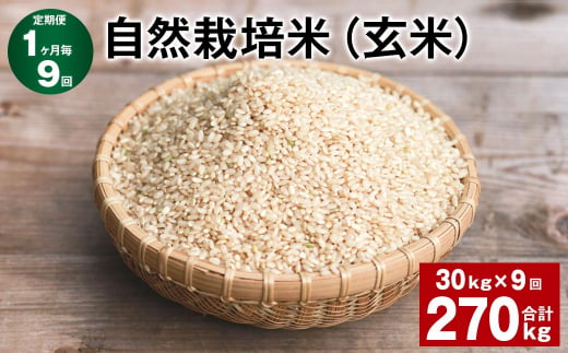 【1ヶ月毎9回定期便】 自然栽培米（玄米） 計270kg（30kg✕9回） お米 玄米 ミルキークイーン