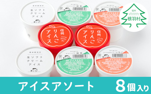 南信州根羽村 アイスアソート 8個セット アイスクリーム いちご 抹茶 生ソフトクリームアイス りんご 5000円