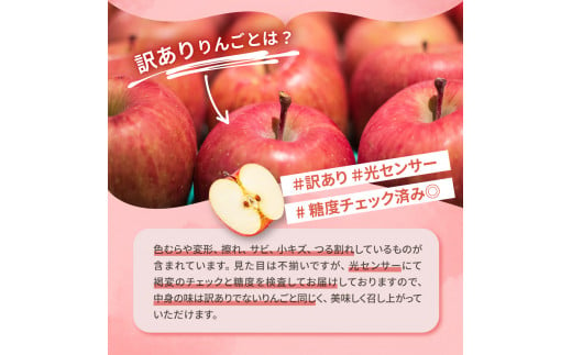 【2024年12月後半発送】【訳あり】 りんご 約10kg サンふじ確約 青森産 品種おまかせ2種以上