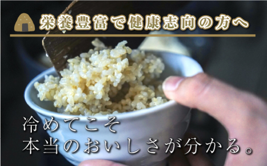 【新米先行受付】【定期便／全6回】玄米10kg　新潟県魚沼産コシヒカリ「山清水米」