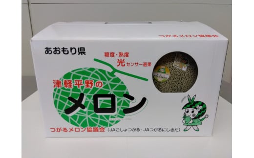 プレミアム タカミ メロン (2玉) 糖度 17度以上 2024年産｜令和6年 青森 つがる 特産 めろん 果物 フルーツ 期間限定 [0660]