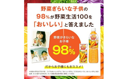 【 定期便 8ヶ月 】 カゴメ 野菜生活100 マンゴーサラダ 200ml×48本 ジュース 野菜 果実ミックスジュース 果汁飲料 紙パック 砂糖不使用 1食分の野菜 マルチビタミン ビタミンB2 ビタミンB12 ビタミンC ビタミンE 飲料類 ドリンク 野菜ドリンク 備蓄 長期保存 防災 飲みもの