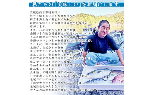 ＜サワラの麹漬け【醤油麹・塩麹】合計640g＞ 魚 さかな サカナ さわら 鰆 おかず セット 食べ比べ 惣菜 おつまみ 明浜町産 二ノ宮商事株式会社 愛媛県 西予市 【冷凍】『9月～5月中旬に順次出荷予定』