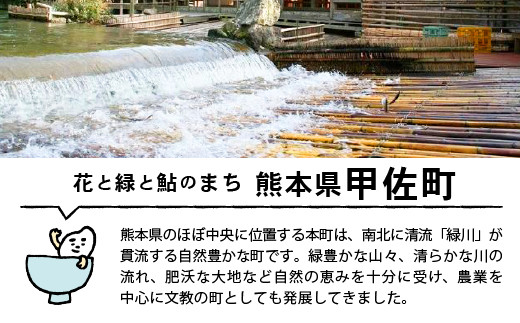 令和６年産★数量限定★【定期便6ヶ月】熊本を代表するブランド米15ｋｇ×6ヶ月　（森のくまさん5kg×3袋）【12月より順次発送予定】国産 白米 精米 厳選 マイスター お米 ブランド米 単一原料米 新鮮 おすすめ 定期便 熊本県 甲佐町【価格改定ZF】