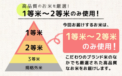 令和６年産★数量限定★【定期便6ヶ月】熊本を代表するブランド米15ｋｇ×6ヶ月　（森のくまさん5kg×3袋）【12月より順次発送予定】国産 白米 精米 厳選 マイスター お米 ブランド米 単一原料米 新鮮 おすすめ 定期便 熊本県 甲佐町【価格改定ZF】