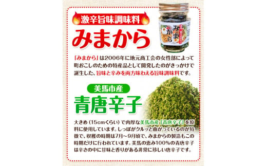 薬味 みまから 甘口セット 《30日以内に出荷予定(土日祝除く)》工房ロマン 徳島県 美馬市 みまから 特産品 美馬市産 青唐辛子 唐辛子 冷奴 ラーメン お鍋 薬味みまから ゆずみそ 田楽みそ 焼肉たれ甘口