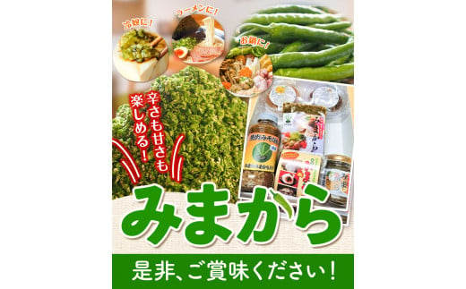 薬味 みまから 甘口セット 《30日以内に出荷予定(土日祝除く)》工房ロマン 徳島県 美馬市 みまから 特産品 美馬市産 青唐辛子 唐辛子 冷奴 ラーメン お鍋 薬味みまから ゆずみそ 田楽みそ 焼肉たれ甘口