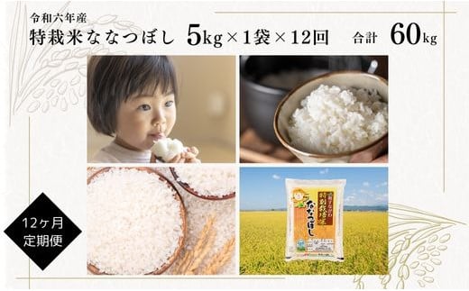 【定期便】【令和6年産】北海道産『特別栽培米ななつぼし 5kg×12ヶ月』 日経トレンディ米のヒット甲子園 大賞受賞 毎月1回・計12回お届け 計60kg 定期便 単一原料米 特栽米 米 お米 白米 精米 こめ おこめ ごはん ご飯 送料無料 北海道 奈井江町