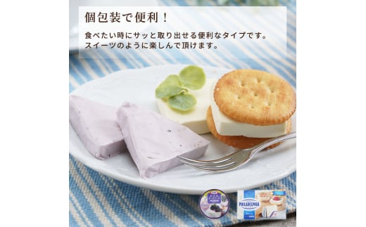 チーズ＆チーズケーキセット 定期便 3ヶ月 クラフトチーズ バラエティ 20個 セット