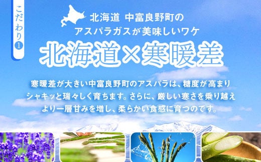 【2025年発送】中富良野町産　ハウス栽培グリーンアスパラ　800g