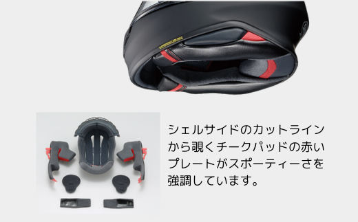 SHOEI ヘルメット 「Z-8 バサルトグレー」Lサイズ パーソナルフィッティングご利用券付バイク  フルフェイス ショウエイ バイク用品 ツーリング SHOEI品質 shoei スポーツ メンズ レディース