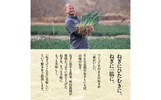 京都山城のねぎ ねぎベーゼ 100g 九条ねぎ 京野菜