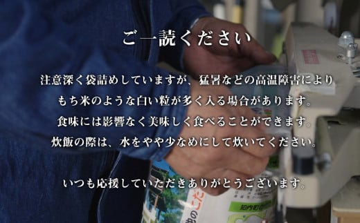 【新米発送・定期便6回】ふっくりんこ 5kg 《杉本農園》