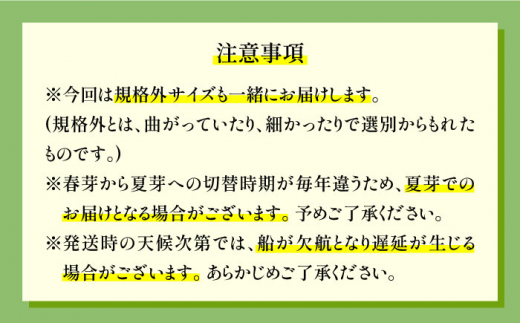 朝摘み 対馬 の アスパラガス（春芽）《対馬市》【ゆうなぎ対馬】 新鮮 栄養満点 アスパラ 野菜 旬 カロテン 甘い おかず [WAG016]冷蔵 新鮮 直送 グリーンアスパラ 春野菜 旬 春 対馬産 長崎 九州