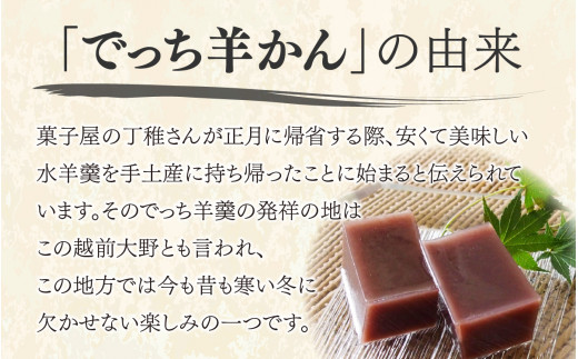 【先行予約】大野市の名水を使った冬限定の「でっち羊かん」（手作り菓子工房 豊栄堂の水ようかん）中サイズ（870g）×2箱【11月以降順次発送】