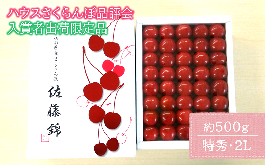 【令和6年産先行予約】 【入賞者出荷限定】 JA ハウスさくらんぼ 「佐藤錦」 約500g (特秀 2L) 化粧箱入り 《令和6年6月上旬～中旬発送》 『JA山形おきたま』 山形県 南陽市 [1111]