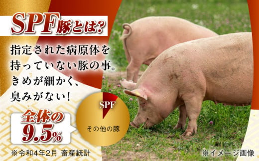 【月1回約1.5kg×3回定期便】大西海SPF豚 肩ロースブロック 計4.5kg 長崎県/長崎県農協直販 [42ZZAA069] 肉 豚 ぶた ブタ ロース 塊 ブロック 西海市 長崎 九州 定期便