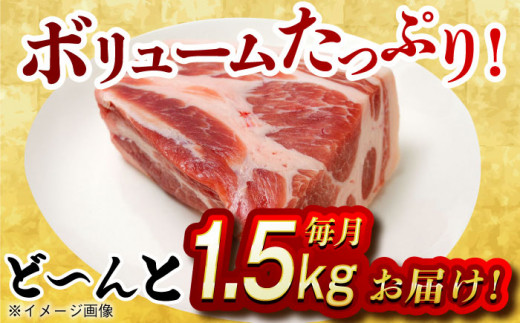 【月1回約1.5kg×3回定期便】大西海SPF豚 肩ロースブロック 計4.5kg 長崎県/長崎県農協直販 [42ZZAA069] 肉 豚 ぶた ブタ ロース 塊 ブロック 西海市 長崎 九州 定期便