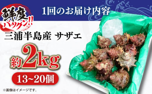 【全12回定期便】サザエ 2kg 13～20個 三浦半島【長井水産株式会社】 [AKAJ024]