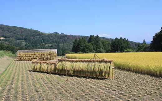 【令和7年10月発送】美味しいお米！栄村産コシヒカリ最高評価特Ａ米「心づかい」5kg （令和6年産）