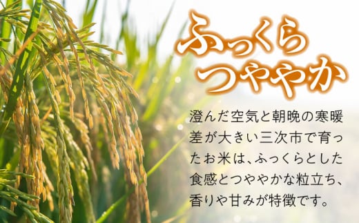 白米 贈答 ギフト 特産品 産地直送 取り寄せ お取り寄せ 送料無料 広島 三次 23000円