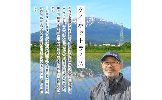 津軽産米 「つがるロマン」 10kg（精米 5kg×2袋） 《定期便》【3ヶ月連続】 【ケイホットライス】 白米 精米 米 お米 おこめ コメ  中泊町 青森 F6N-200