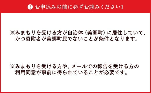 郵便局 みまもり サービス 訪問 12ヵ月 年12回 [日本郵便 宮崎県 美郷町 31bk0006] 家族 健康 安否確認 代行 高齢者 見守り 故郷 親 両親