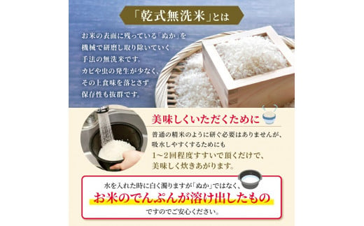 令和6年産   【定期便3回】 熊本県産 ひのひかり 無洗米 10kg | 小分け 5kg × 2袋  熊本県産 特A獲得品種 米 無洗米 ごはん 銘柄米 ブランド米 単一米 人気 日本遺産 菊池川流域 こめ作り ごはん ふるさと納税 返礼品 