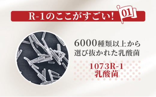 明治 R1 プロビオヨーグルト ドリンクタイプ 低糖 低カロリー 飲むヨーグルト 乳酸菌飲料 meiji 予防