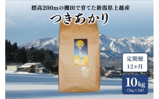 定期便 12回 【毎月】標高200mで育てた棚田米 新潟上越・早生品種 つきあかり 精米 10kg (5kg×2) 米 お米