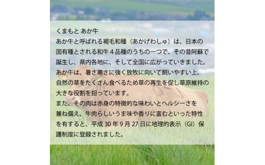 【ふるさと納税】 くまもとあか牛 すき焼き用 500g 肩ロース 熊本 美里町 くまもと くまもとあかうし 赤牛 ロース 畜産協同組合