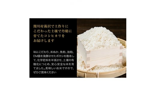 岩船産コシヒカリ 用助商店のお米 こしひかり精米6kg(2kg×3袋)【1441588】