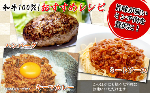 ハンバーグに大人気！根羽こだわり和牛 ミンチ 1kg 国産黒毛和牛 10000円