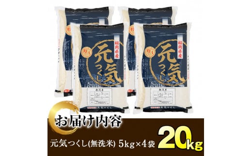 ＜令和6年産＞福岡県産ブランド米「元気つくし」無洗米(計20kg・5kg×4袋) お米 20キロ ごはん ご飯【ksg0381】【朝ごはん本舗】