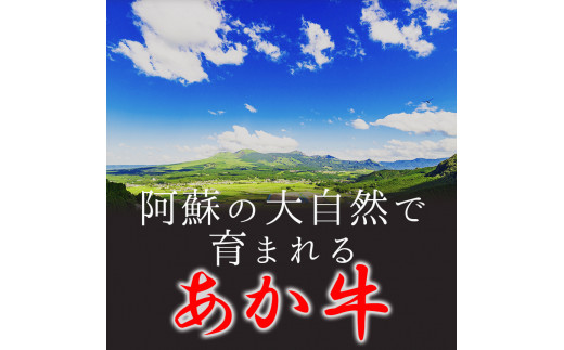 くまもと あか牛 切り落とし（コマ切れ）900ｇ | 熊本県 熊本 くまもと 和水町 なごみ 牛肉 肉 赤牛 肥後 900g 切り落とし 小間切れ