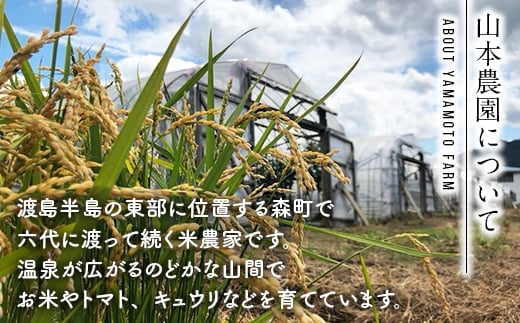 【先行予約】【7月下旬発送】 つむぎ米 5kg【北海道産ゆめぴりか】令和6年産 発送時期が選べる《山本農園》 森町 こめ お米 米 白米 ゆめぴりか 北海道米 北海道産 北海道 mr1-0621-28