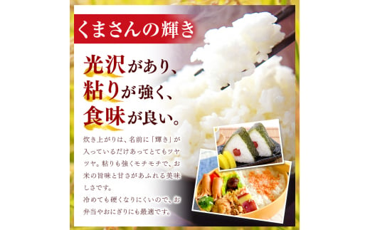 令和6年産   【定期便3回】 ひのひかり・森のくまさん・くまさんの輝き 3種食べ比べセット 白米 15kg | 小分け 5kg × 3袋  熊本県産 特A獲得品種 米 白米 ごはん 銘柄米 ブランド米 単一米 人気 日本遺産 菊池川流域 こめ作り ごはん ふるさと納税 返礼品 