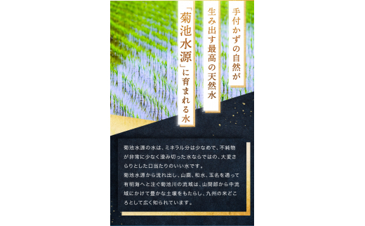 令和6年産   【定期便3回】 ひのひかり・森のくまさん・くまさんの輝き 3種食べ比べセット 白米 15kg | 小分け 5kg × 3袋  熊本県産 特A獲得品種 米 白米 ごはん 銘柄米 ブランド米 単一米 人気 日本遺産 菊池川流域 こめ作り ごはん ふるさと納税 返礼品 