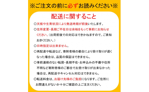 【丹精こめた美味の品】船橋のなし「秋麗」 国産 梨 ナシ 果物 フルーツ ※お届け日指定不可 （い志い農園）