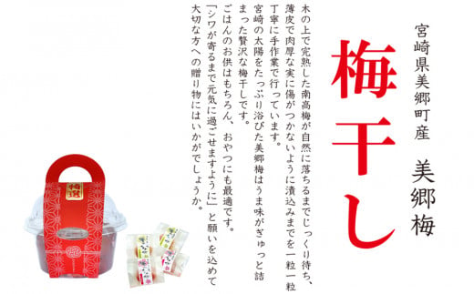 梅 南高梅 美郷梅使用 梅干し 昆布 シソ 風味 セット 3L サイズ 200g ×2 [農林産物直売所 美郷ノ蔵 宮崎県 美郷町 31ab0111] うめ ウメ 個包装 詰め合わせ