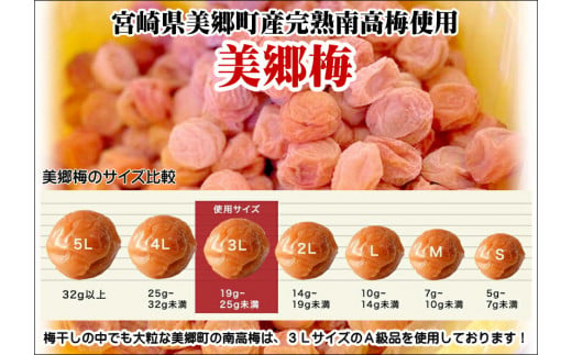 梅 南高梅 美郷梅使用 梅干し 昆布 シソ 風味 セット 3L サイズ 200g ×2 [農林産物直売所 美郷ノ蔵 宮崎県 美郷町 31ab0111] うめ ウメ 個包装 詰め合わせ