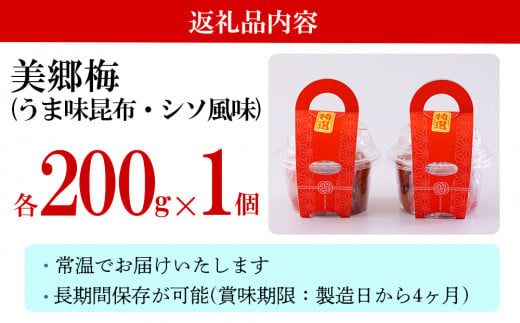 梅 南高梅 美郷梅使用 梅干し 昆布 シソ 風味 セット 3L サイズ 200g ×2 [農林産物直売所 美郷ノ蔵 宮崎県 美郷町 31ab0111] うめ ウメ 個包装 詰め合わせ