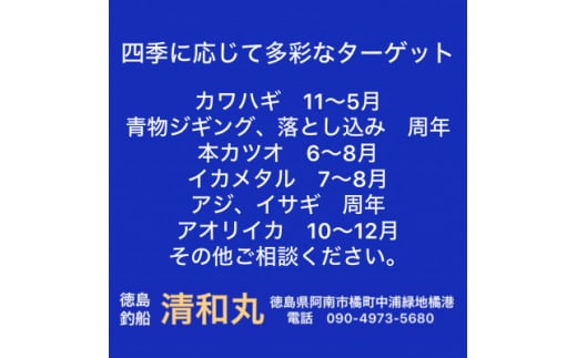 徳島清和丸 阿南沖釣り船 割引チケット【1460807】