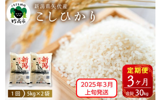 【2025年3月上旬発送】【定期便】令和6年産 新潟県矢代産コシヒカリ10kg(5kg×2袋)×3回（計30kg）