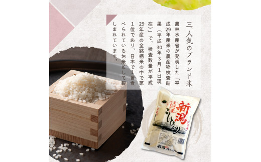 【2025年3月上旬発送】【定期便】令和6年産 新潟県矢代産コシヒカリ10kg(5kg×2袋)×3回（計30kg）