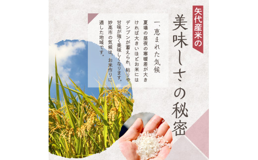 【2025年3月上旬発送】【定期便】令和6年産 新潟県矢代産コシヒカリ10kg(5kg×2袋)×3回（計30kg）