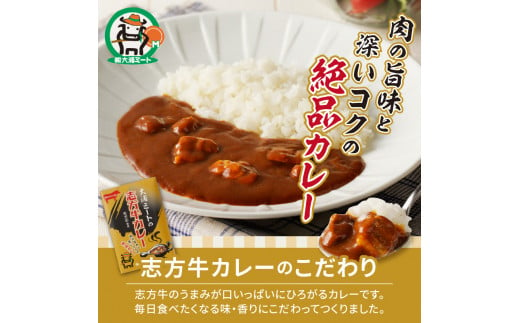 ★選べる配送月★ [11月発送] 大浦ミートの志方牛カレー 5個セット〈おすすめ カレー 人気 美味しい レトルト 牛肉 ビーフカレー セット 詰め合わせ お取り寄せ グルメ 送料無料〉【2400I00212-11】