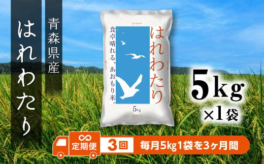 【定期便3回】 青森県産 はれわたり 5kg 